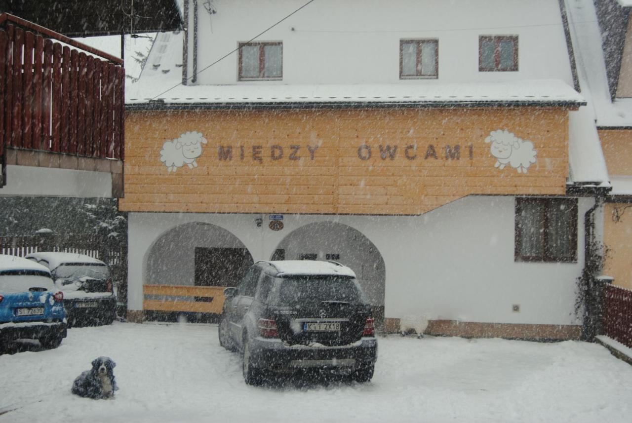 Miedzy Owcami Apartment Sromowce Wyzne Exterior photo