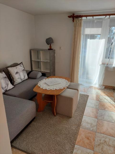 Miedzy Owcami Apartment Sromowce Wyzne Exterior photo
